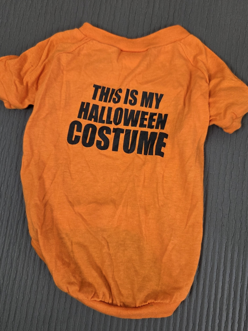Orange Dogs Medium Halloween Costume Tee - "This Is My Halloween Costume"